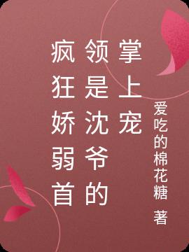 疯狂娇弱首领是沈爷的掌上宠