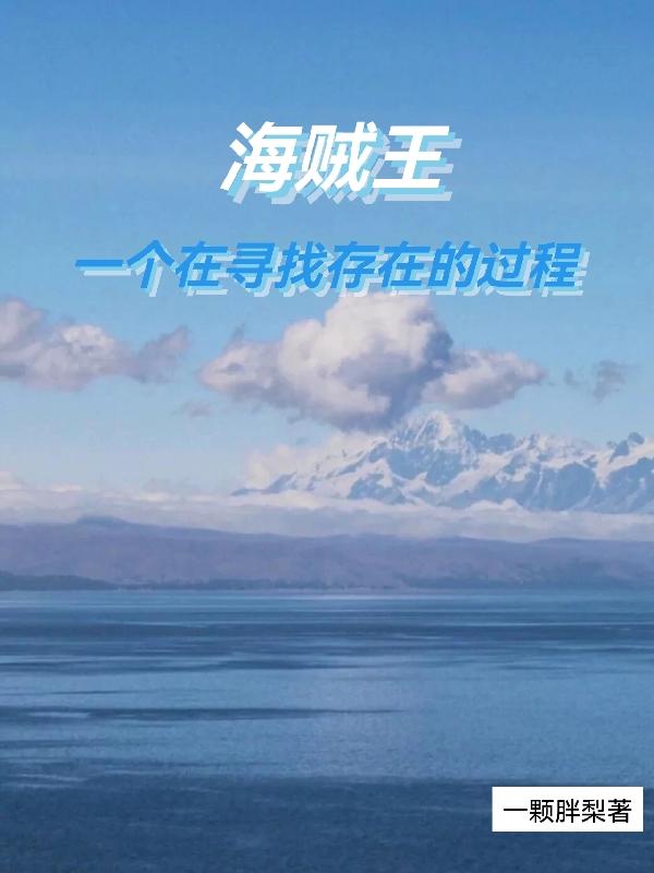 海贼王:一个在寻找存在的过程