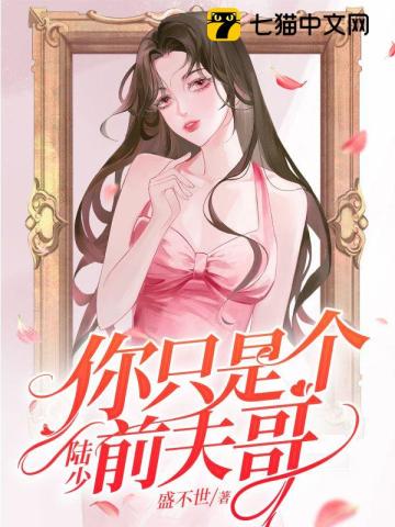 陆少,你只是个前夫哥